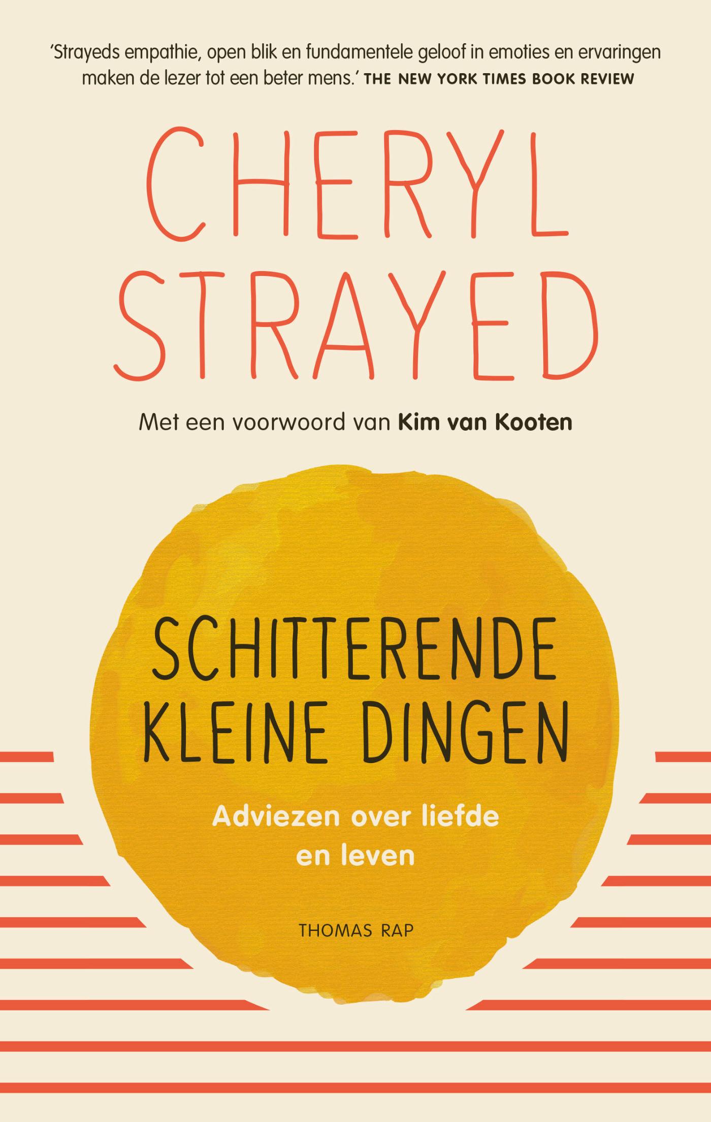 Omslag van Schitterende kleine dingen