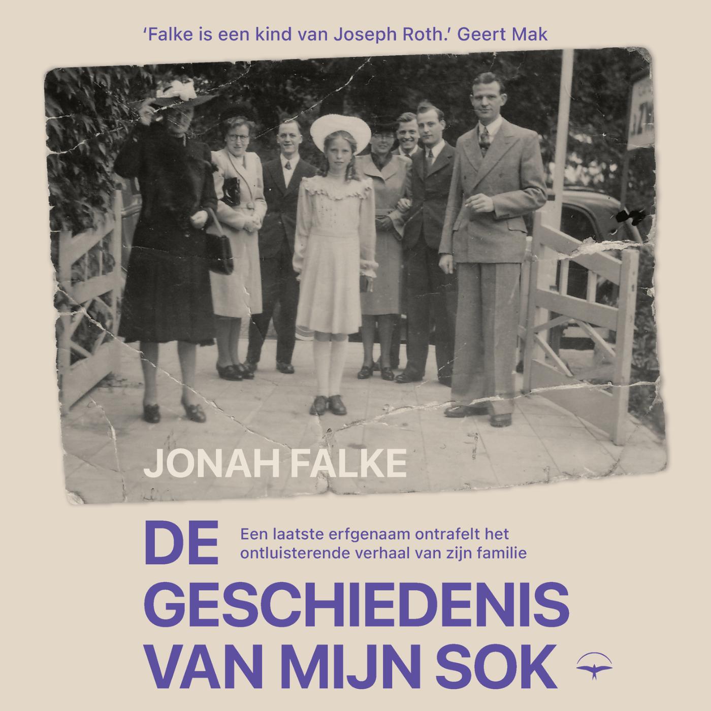 Omslag van De geschiedenis van mijn sok