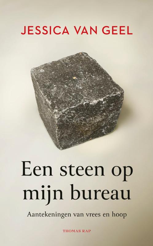 Omslag van Een steen op mijn bureau