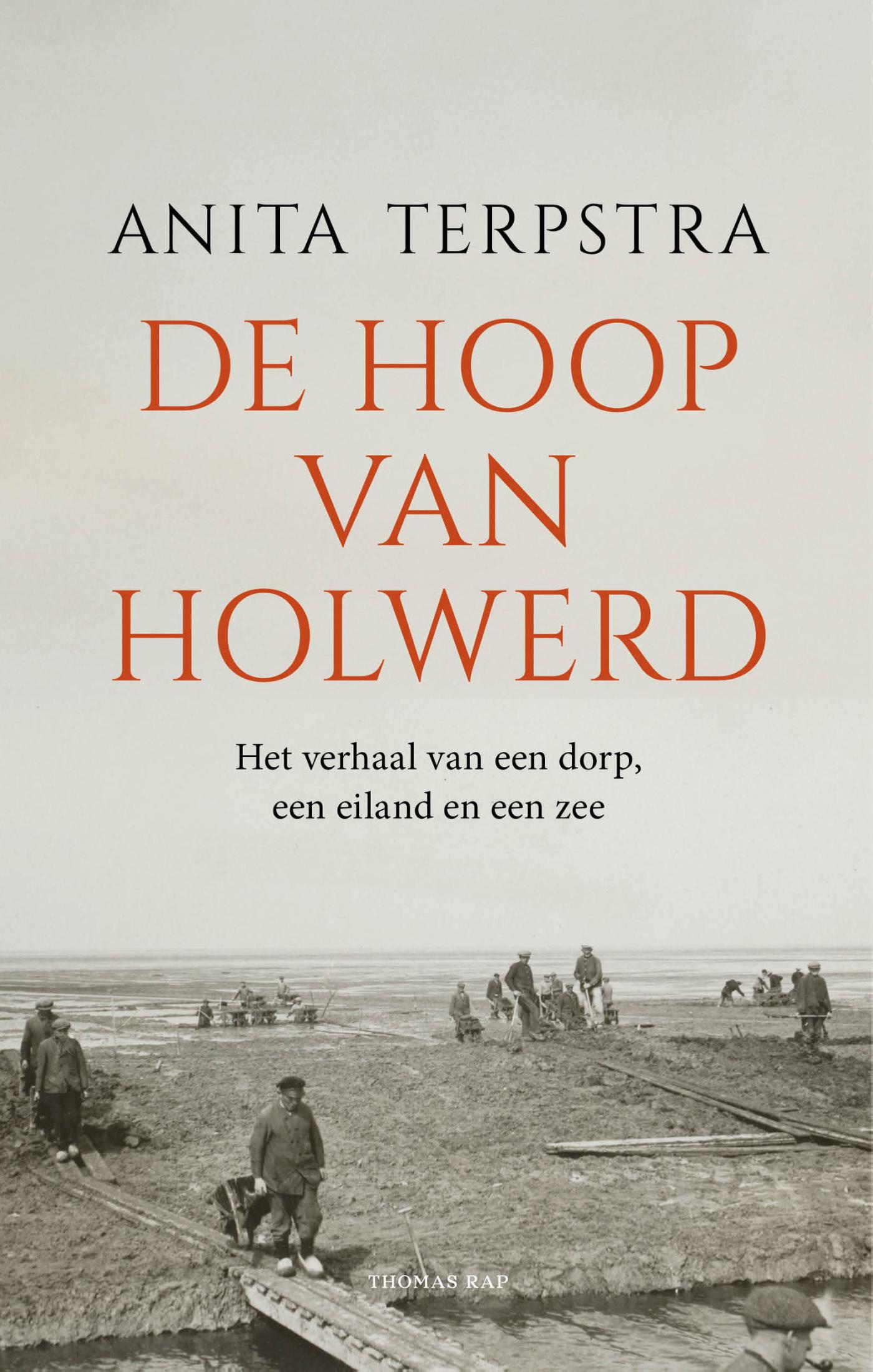 Omslag van De hoop van Holwerd
