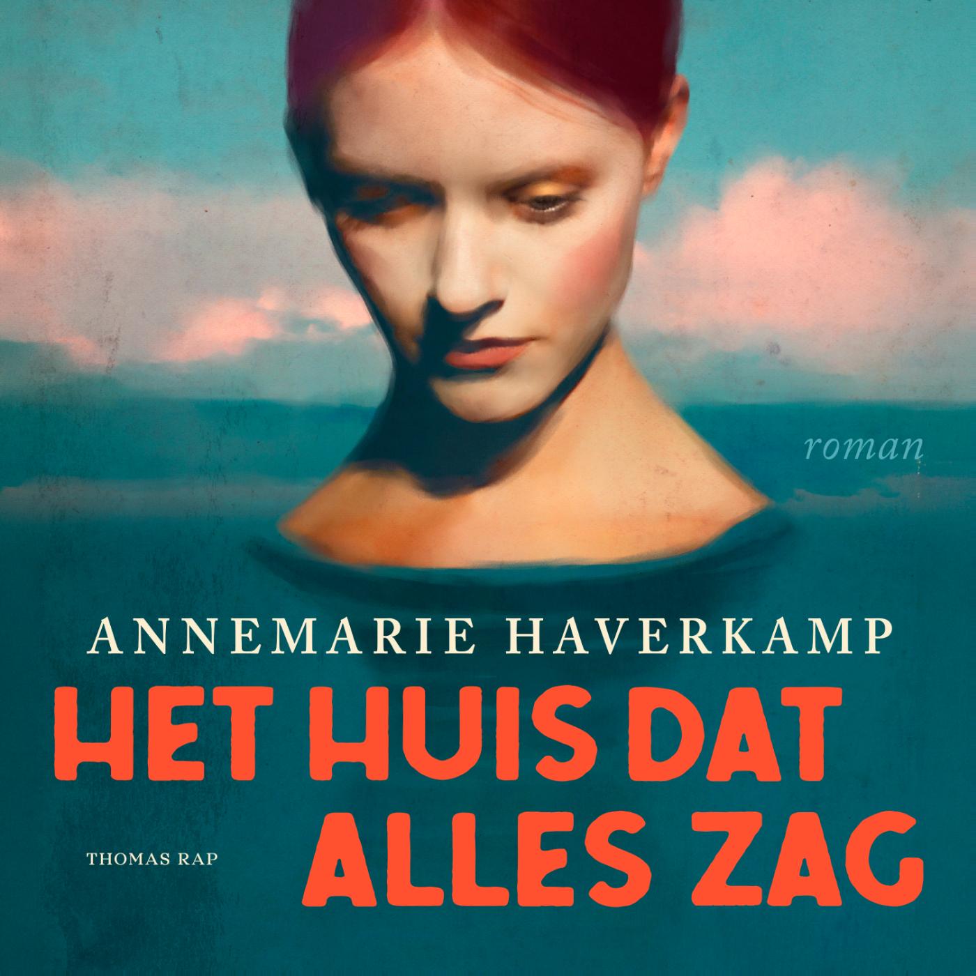 Omslag van Het huis dat alles zag