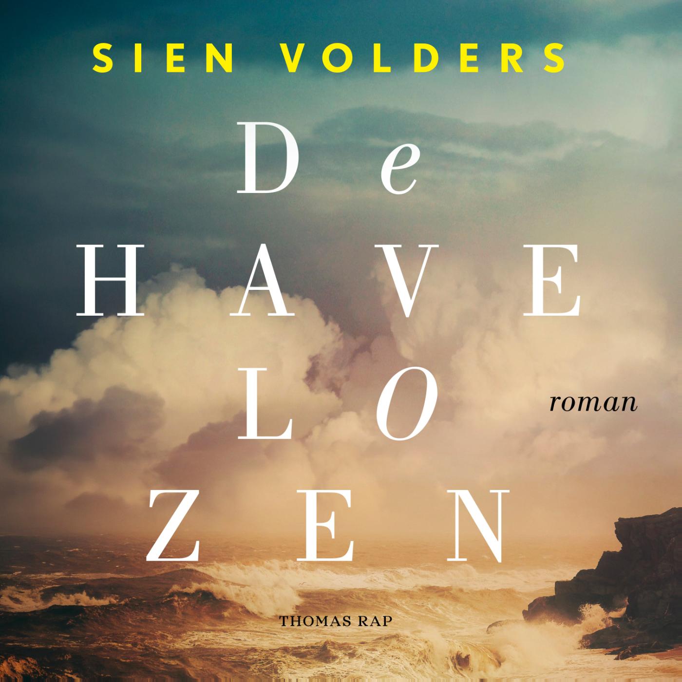 Omslag van De havelozen