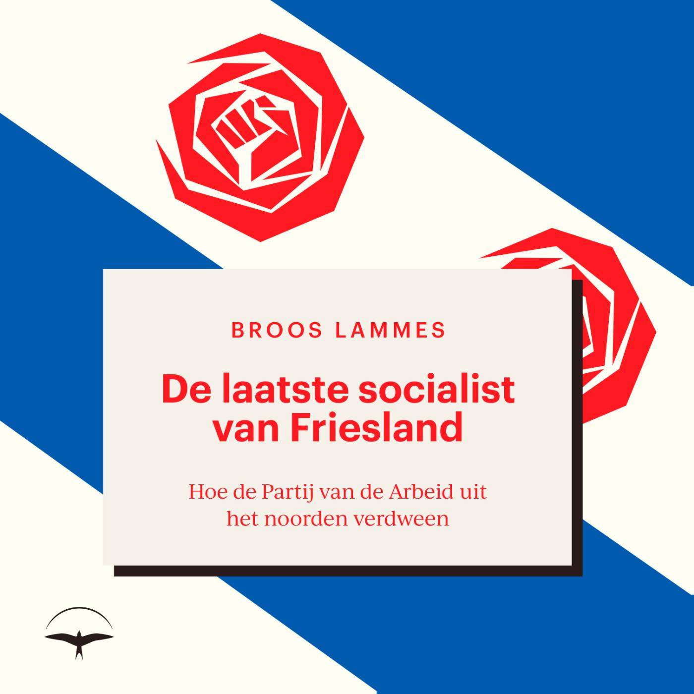 Omslag van De laatste socialist van Friesland