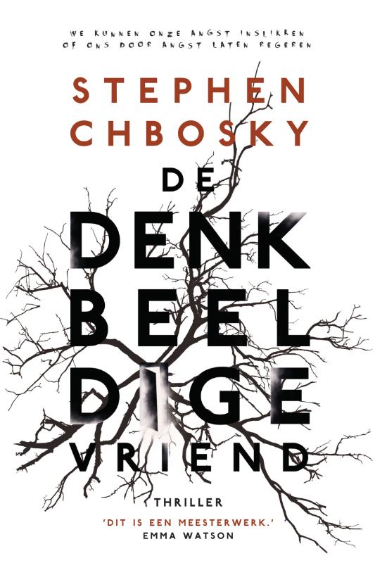 Omslag van De denkbeeldige vriend