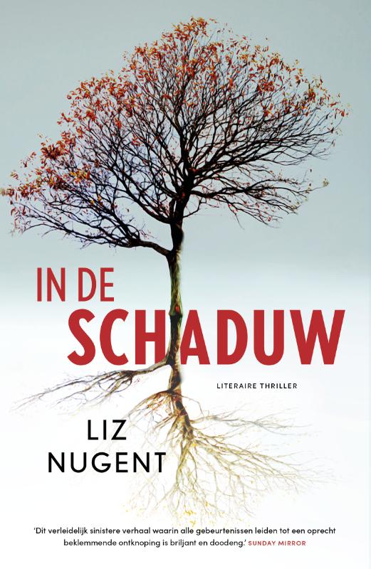 Omslag van In de schaduw