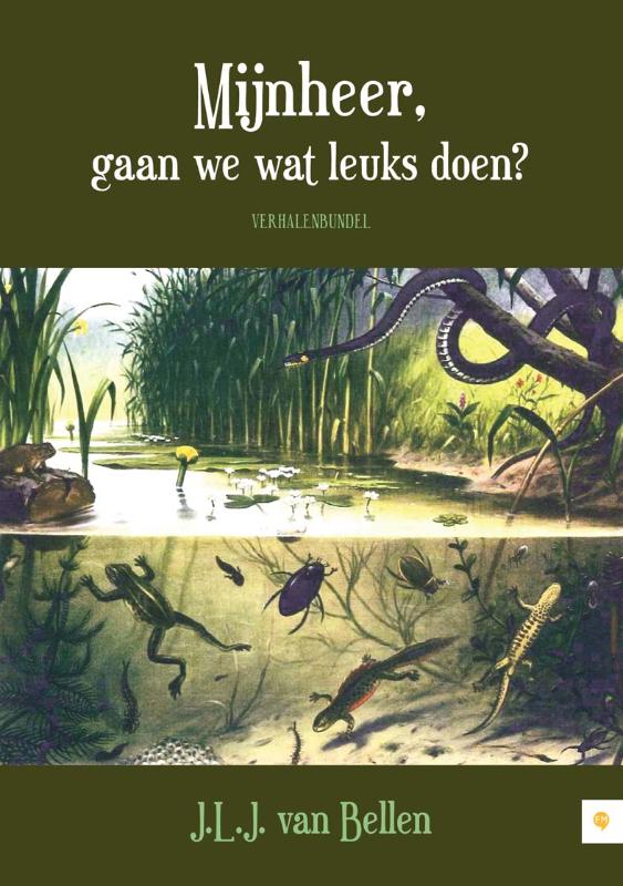 Omslag van Mijnheer, gaan we wat leuks doen