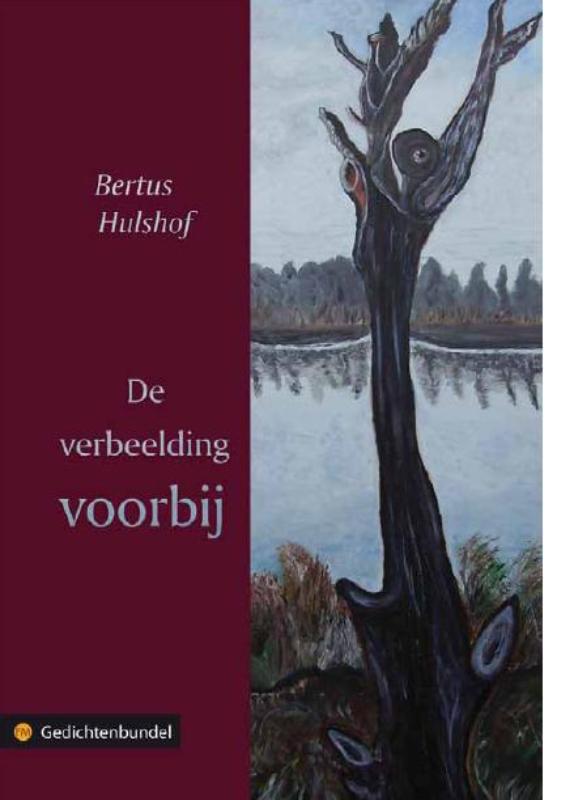 Omslag van De verbeelding voorbij