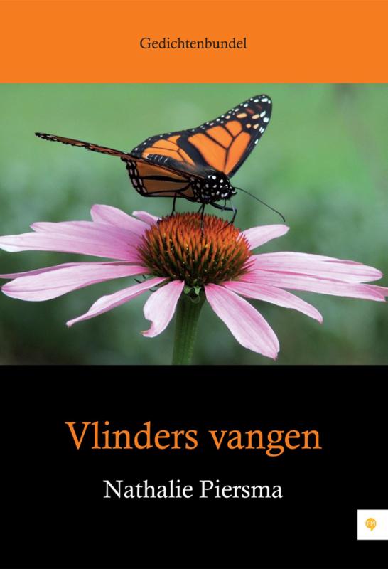 Omslag van Vlinders vangen
