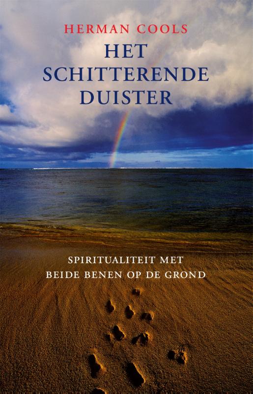 Omslag van Het schitterende duister