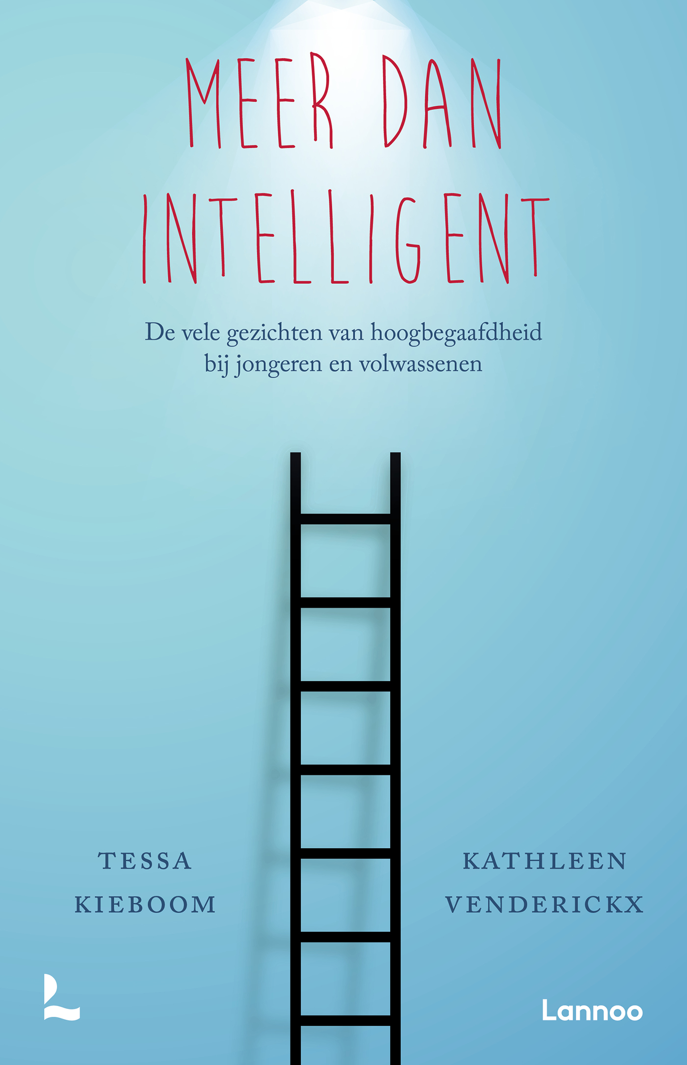 Omslag van Meer dan intelligent