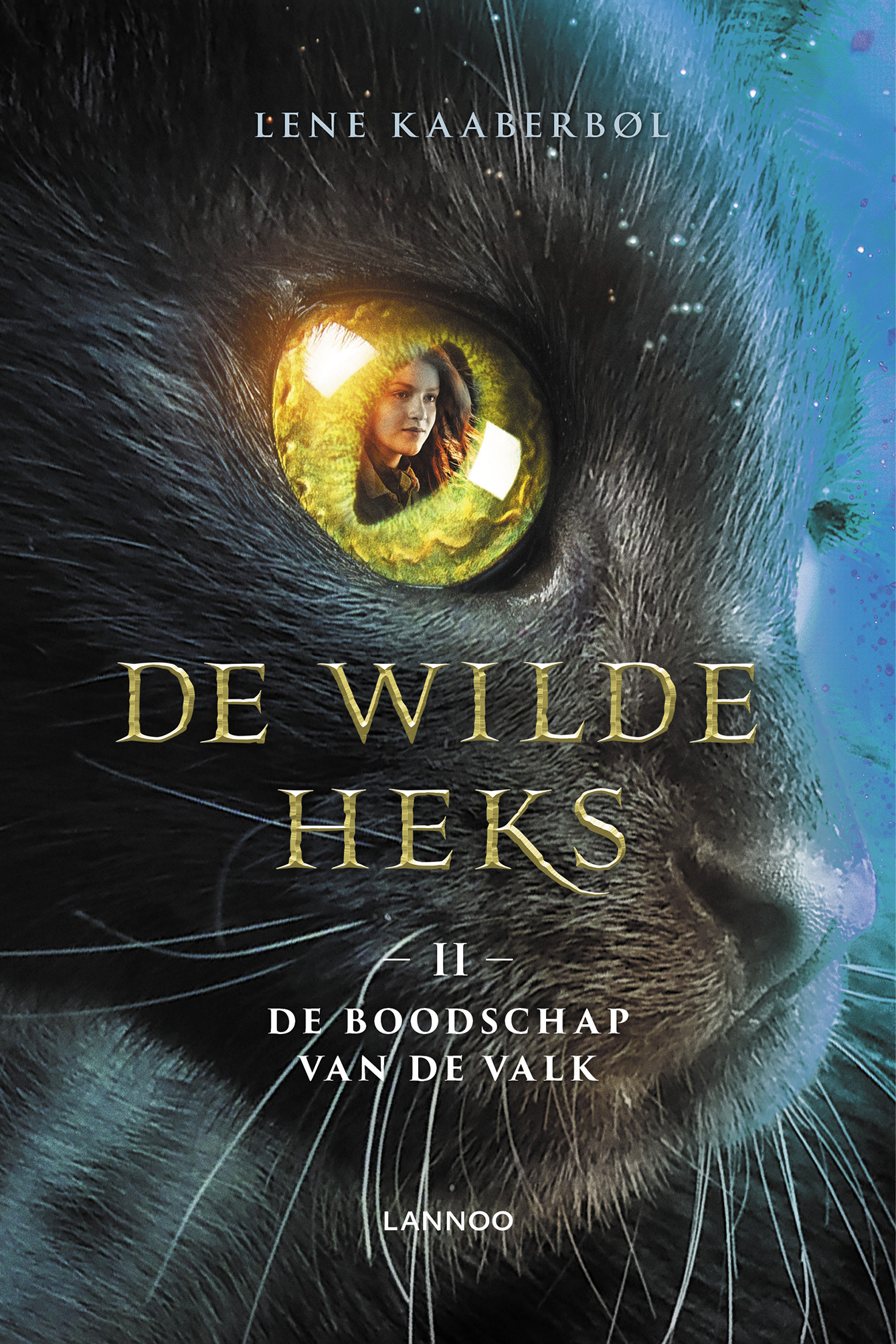 Omslag van De boodschap van de valk