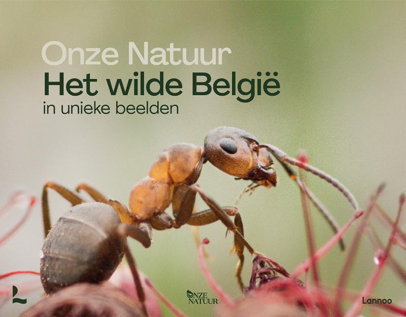 Omslag van Onze Natuur - Het wilde België in unieke beelden