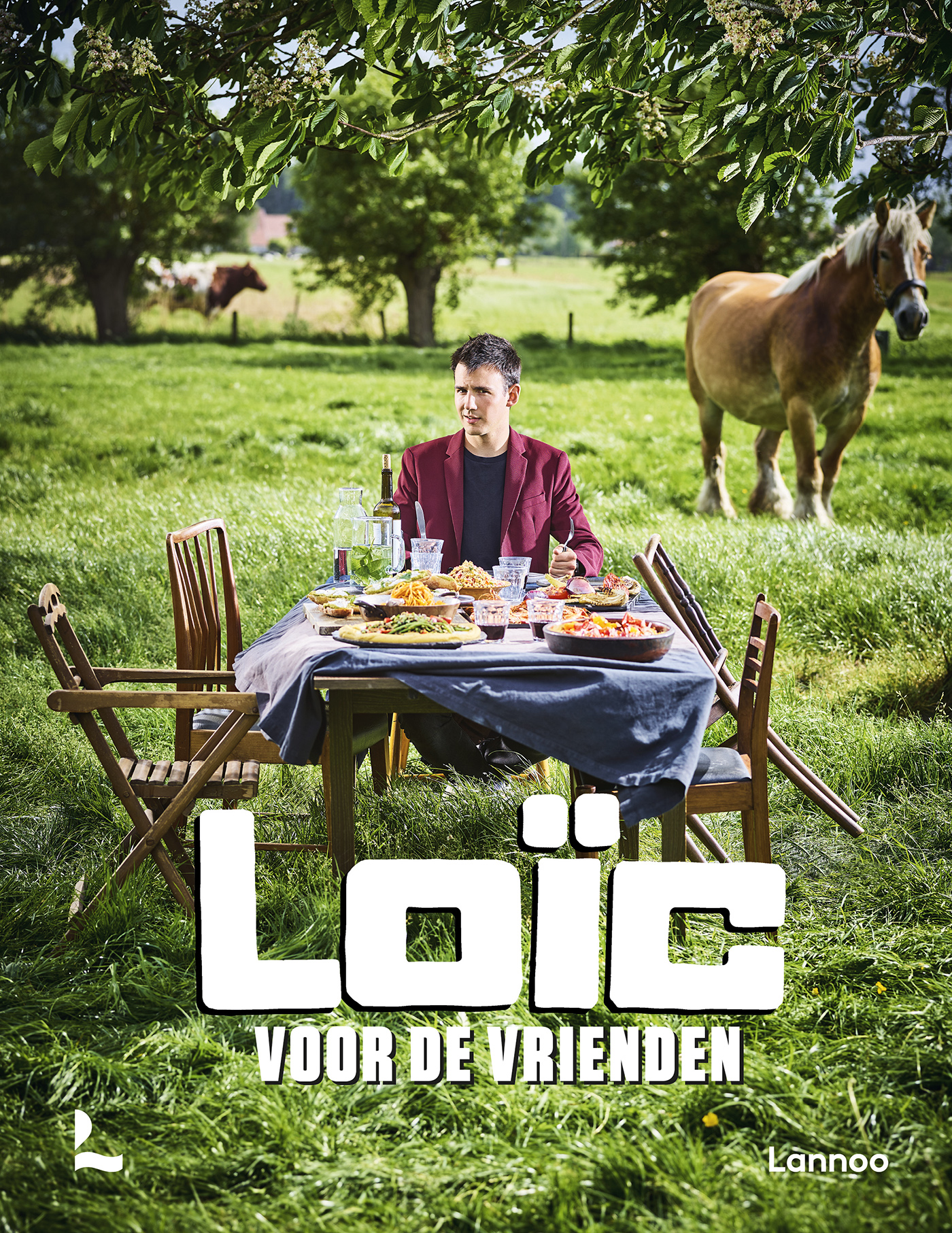 Omslag van Voor de vrienden