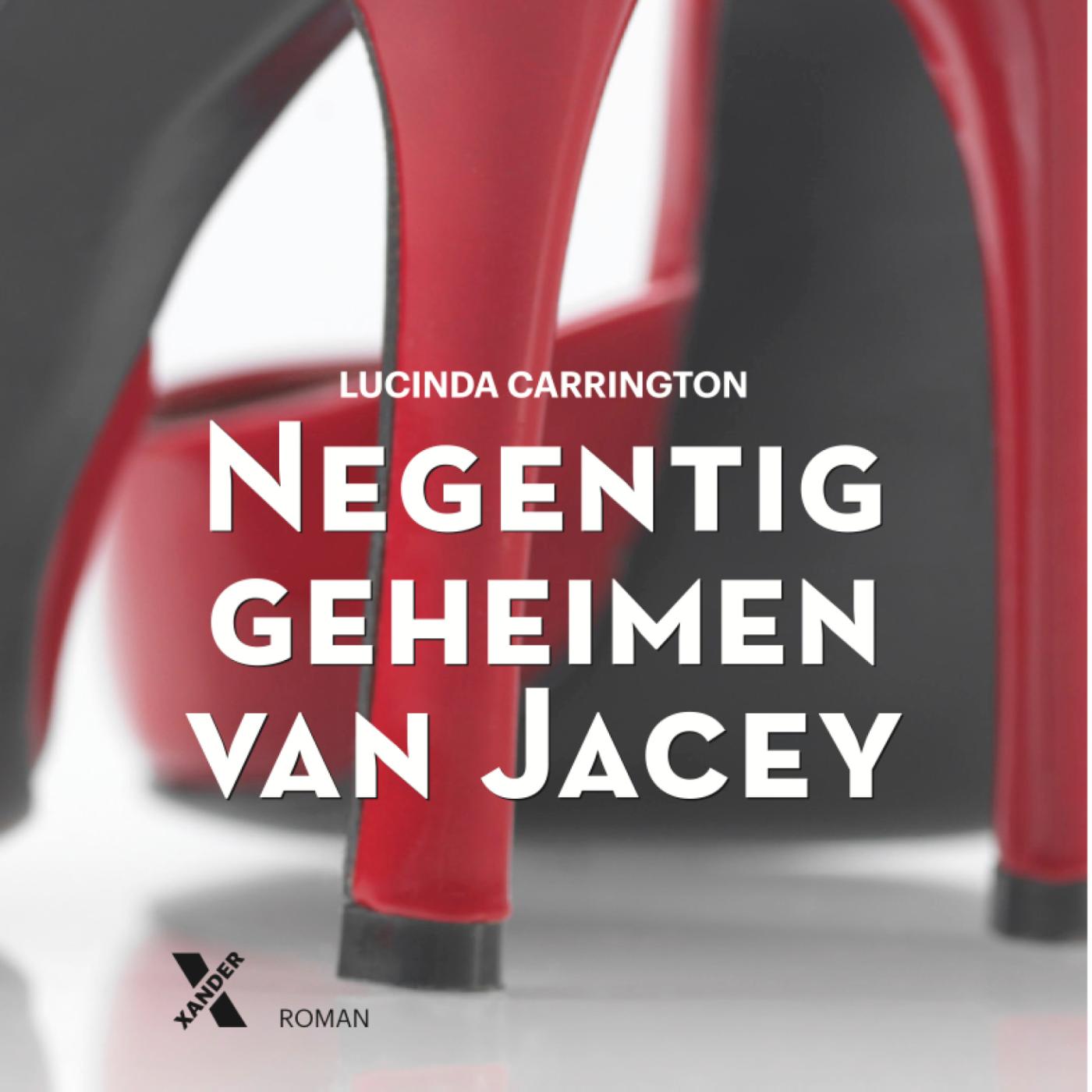 Omslag van Negentig geheimen van Jacey