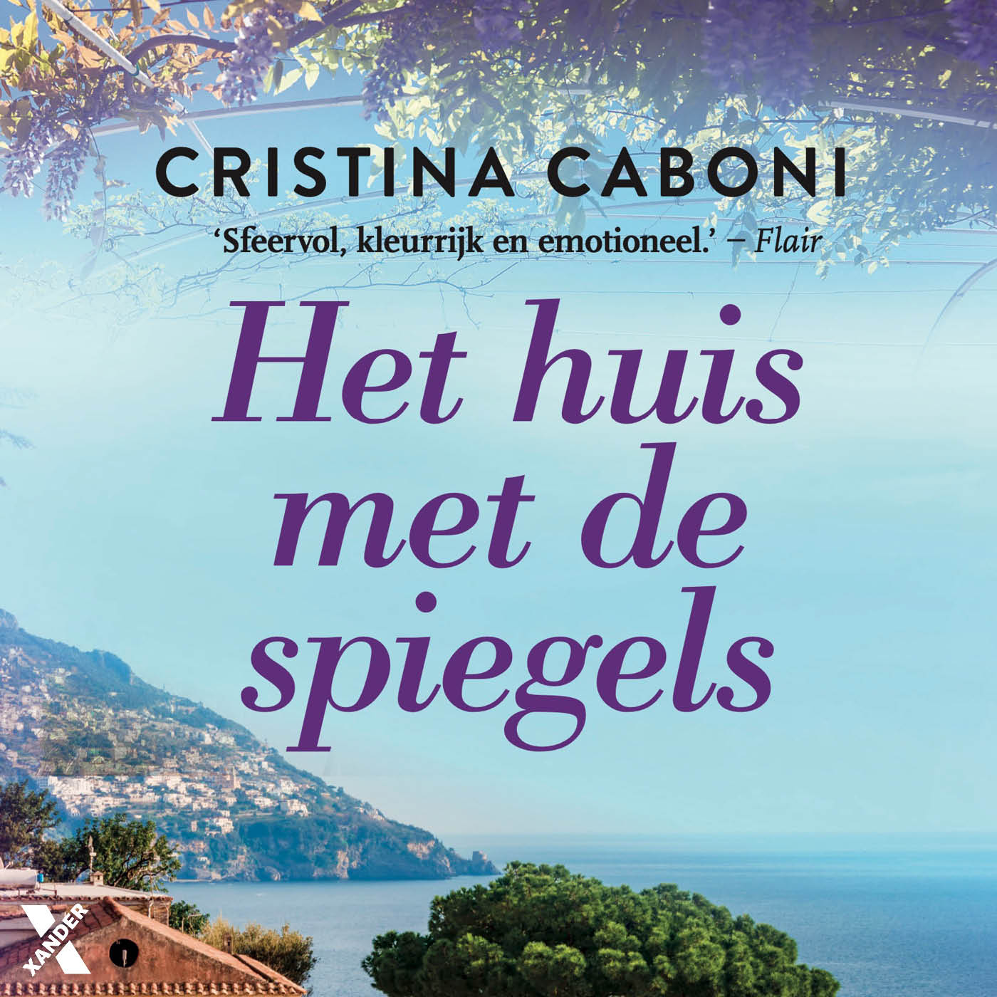 Omslag van Het huis met de spiegels