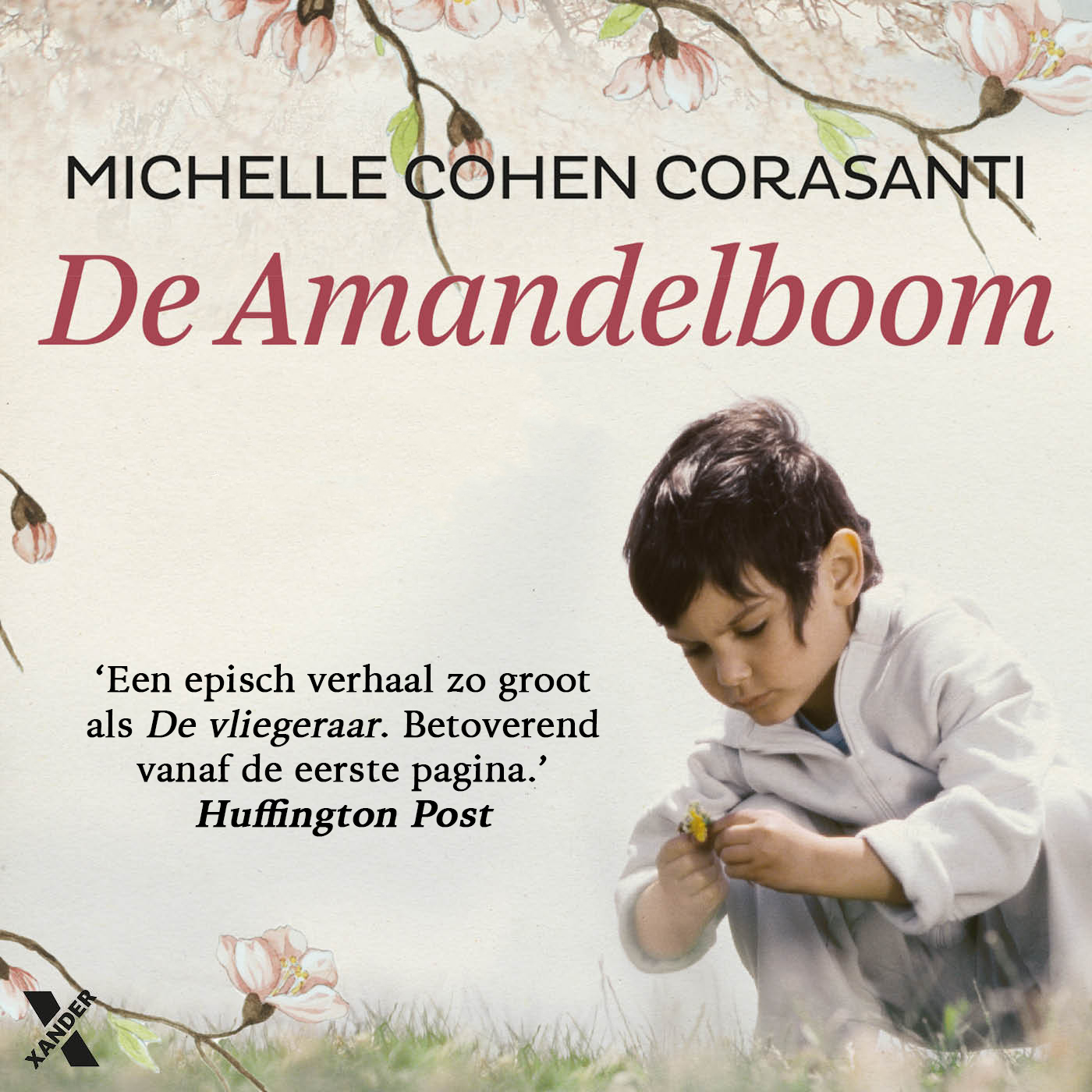 Omslag van De amandelboom