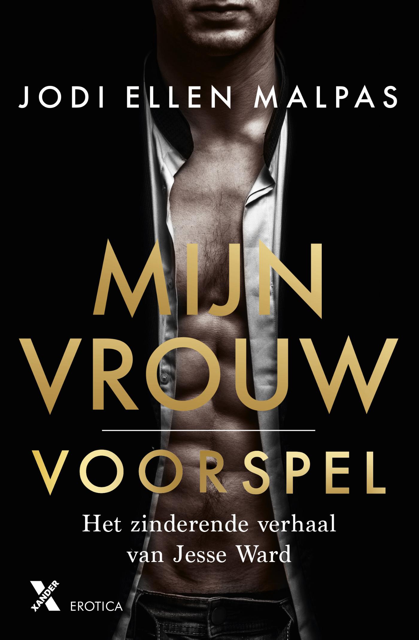 Omslag van Voorspel