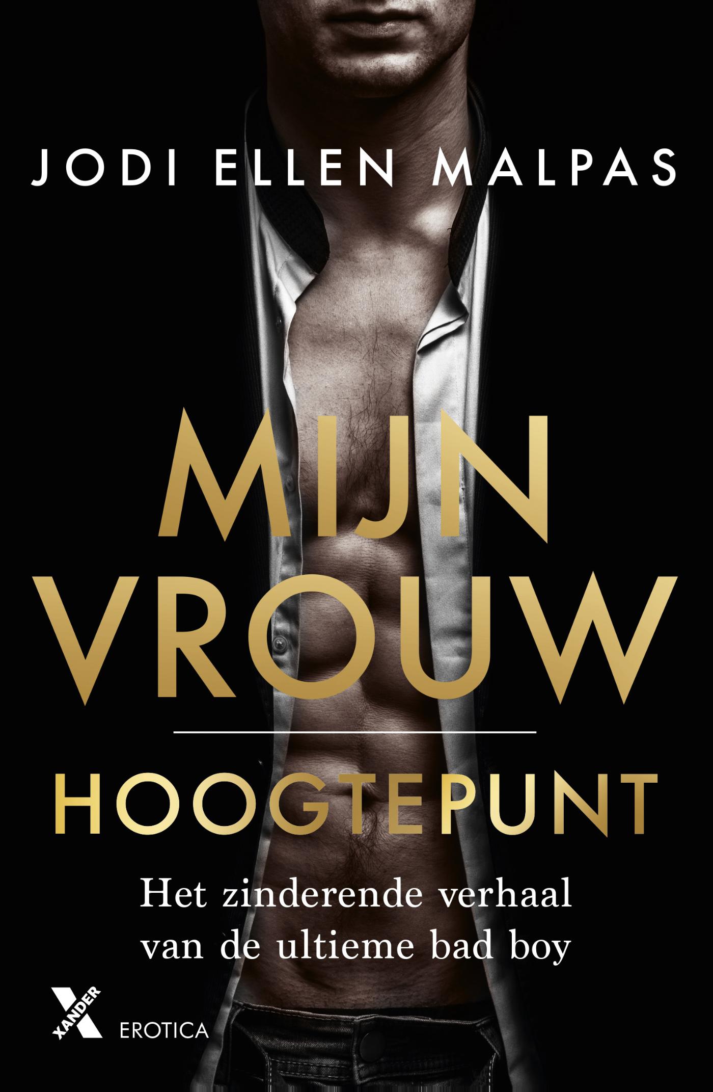 Omslag van Hoogtepunt