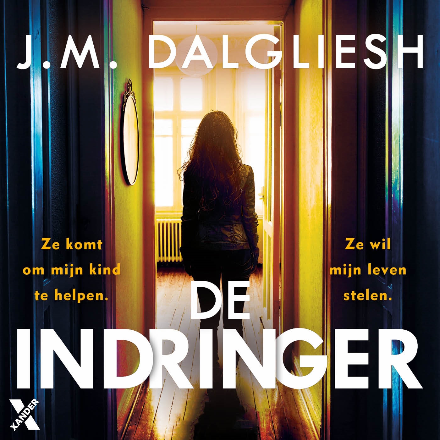 Omslag van De indringer