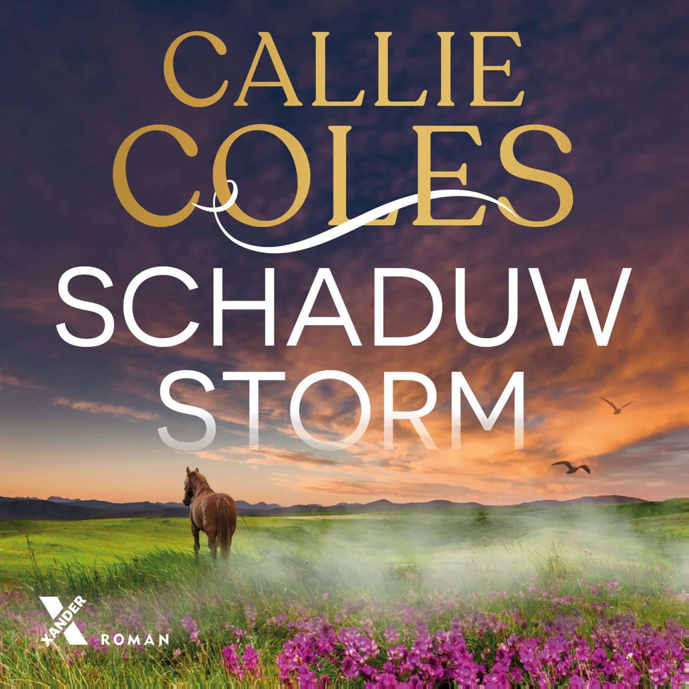 Omslag van Schaduwstorm