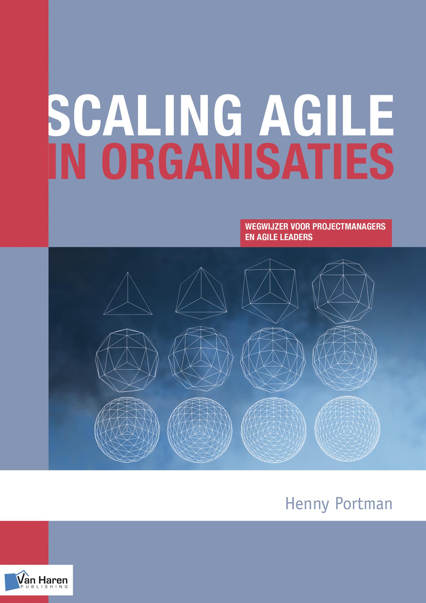Omslag van Scaling agile in organisaties