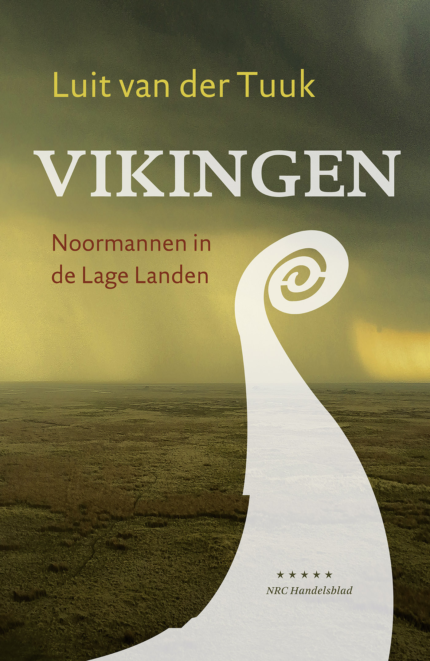 Omslag van Vikingen