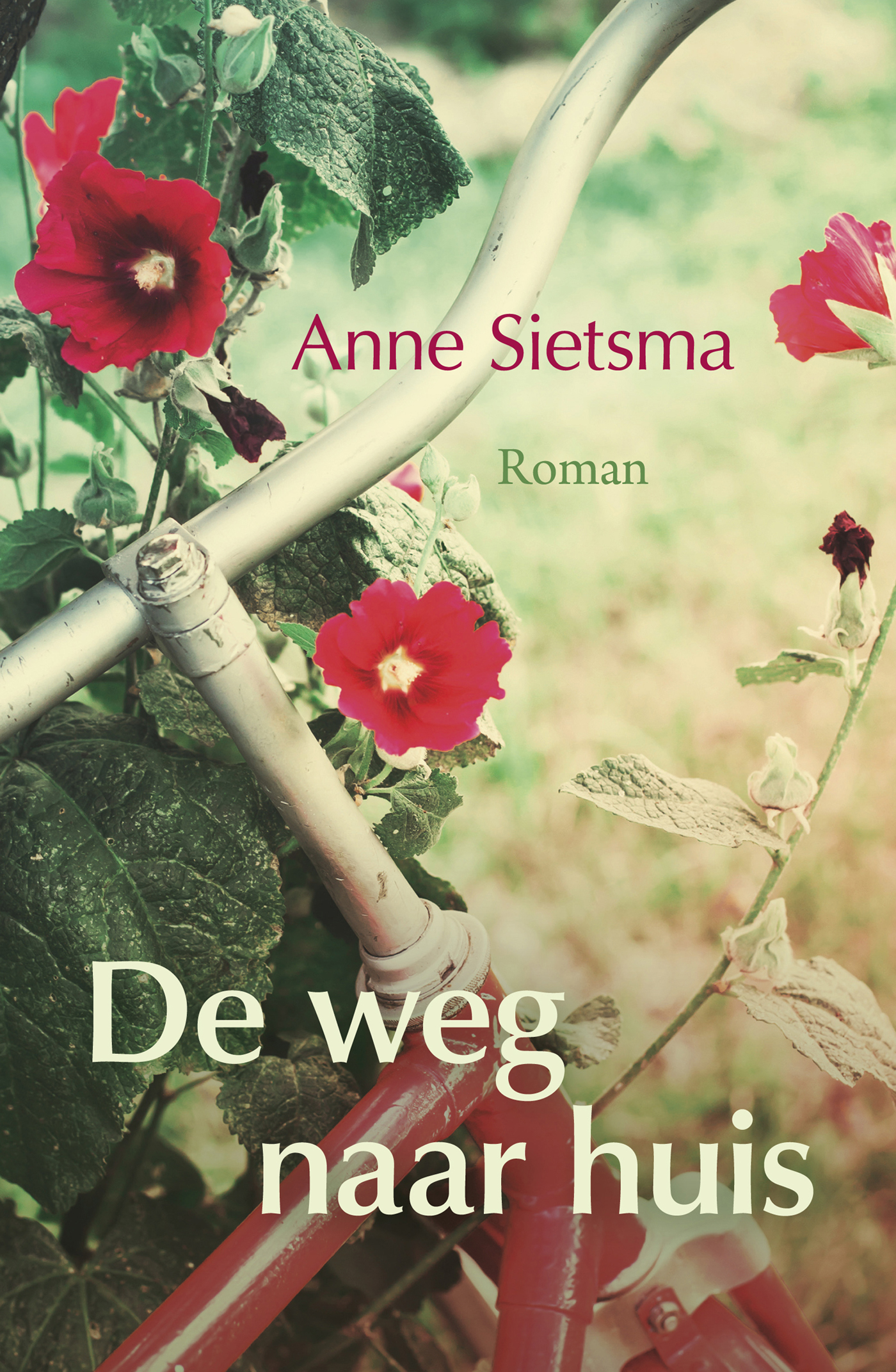 Omslag van De weg naar huis