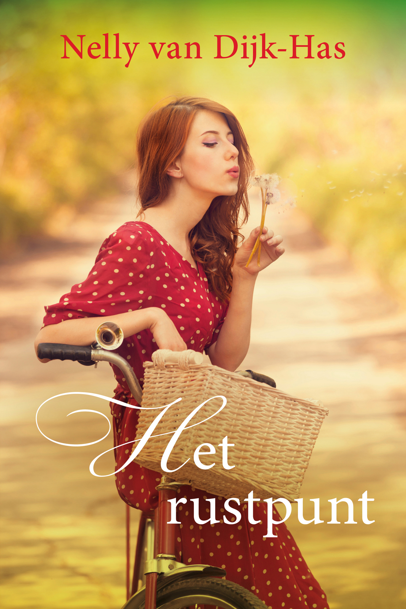 Omslag van Het rustpunt