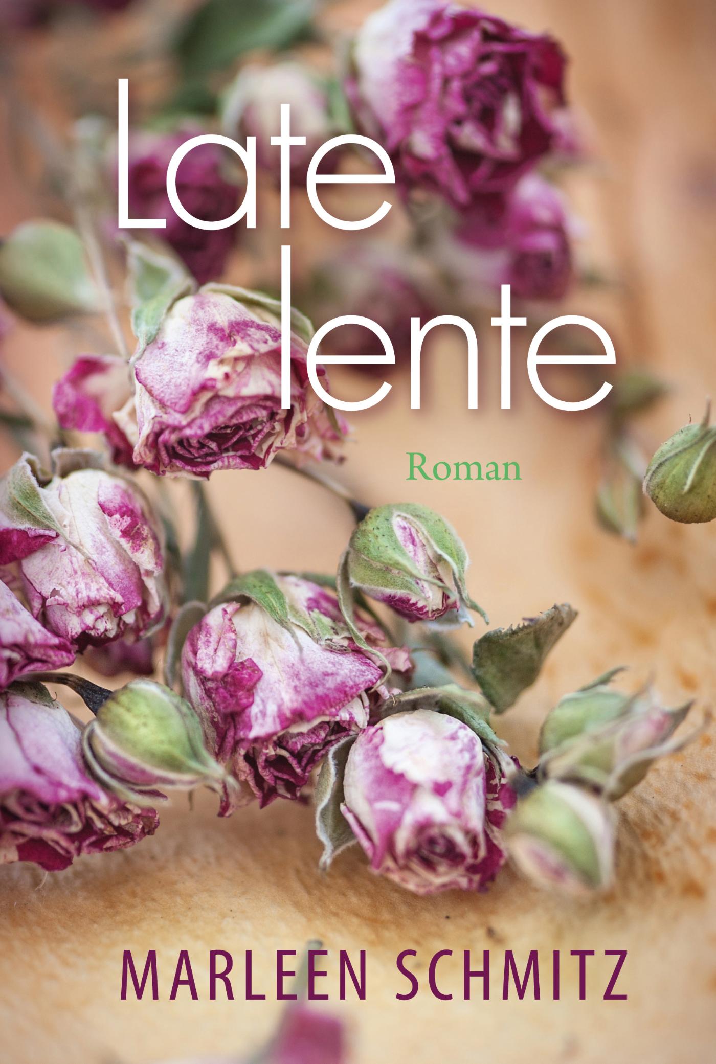 Omslag van Late lente