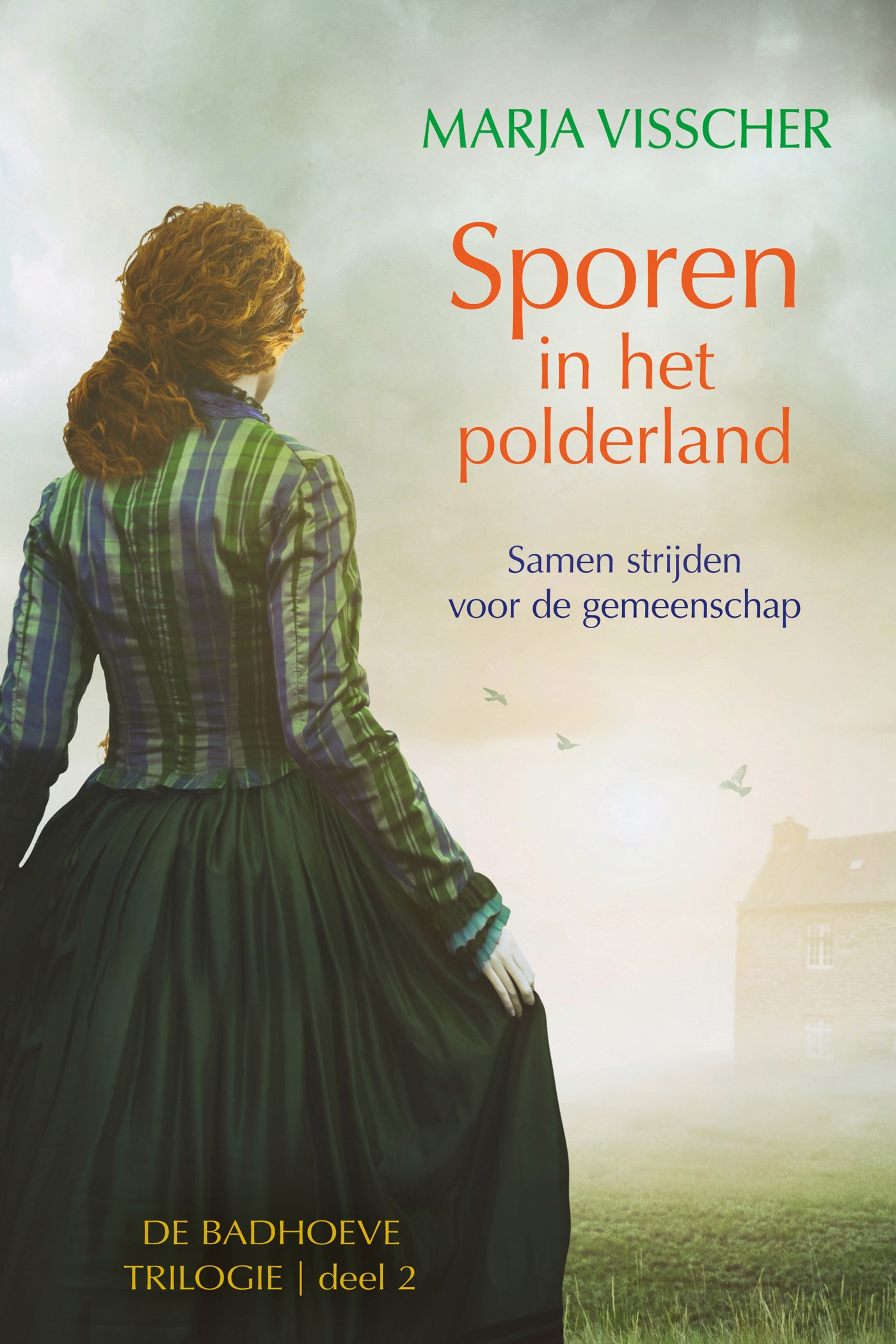 Omslag van Sporen in het polderland
