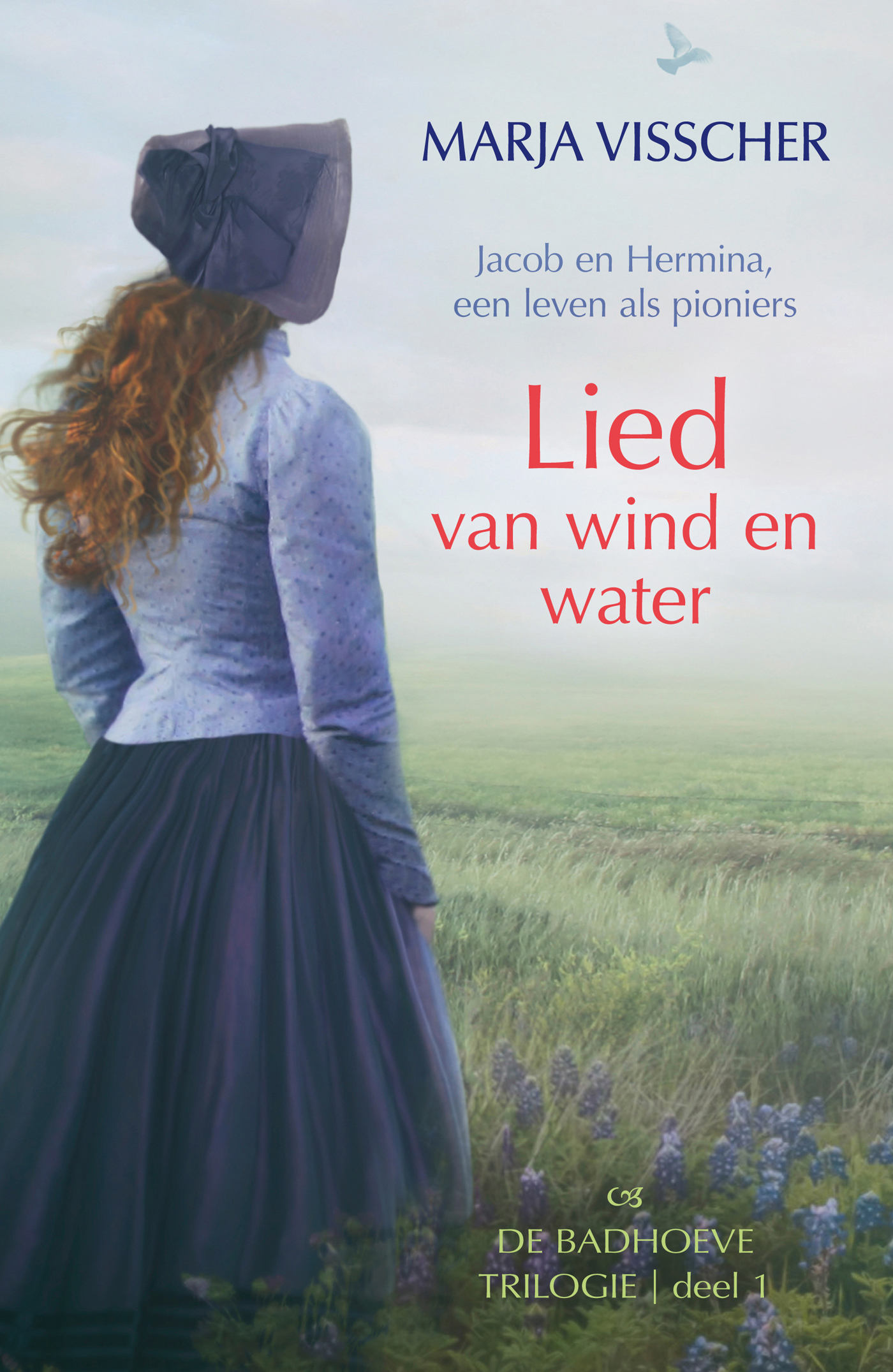 Omslag van Lied van wind en water