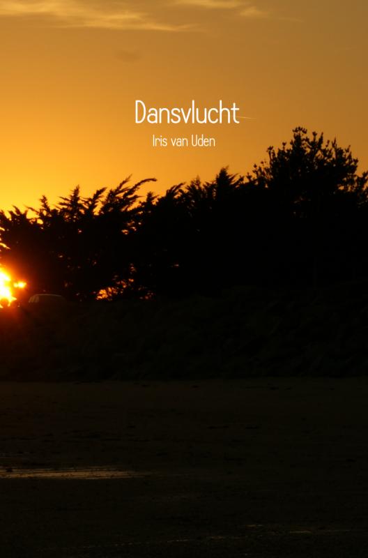 Omslag van Dansvlucht