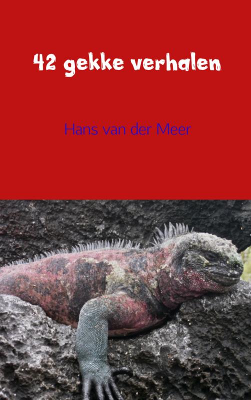 Omslag van 42 gekke verhalen