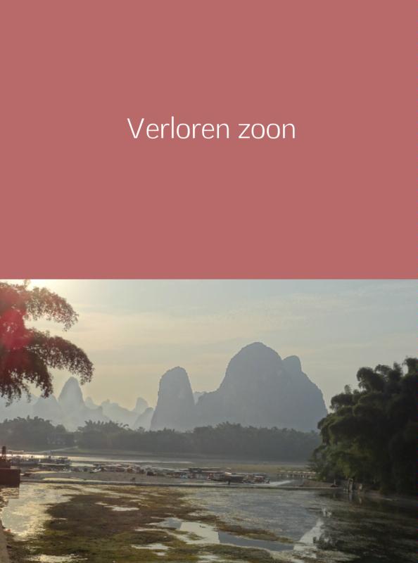 Omslag van Verloren zoon
