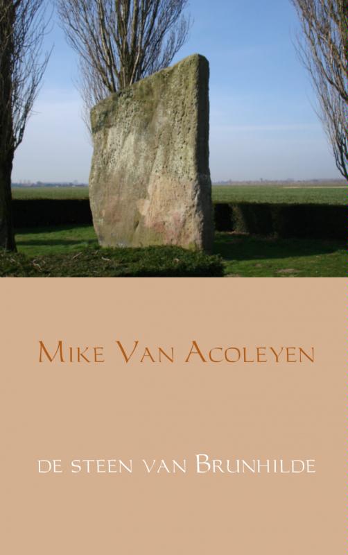 Omslag van de steen van Brunhilde