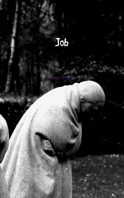 Omslag van Job