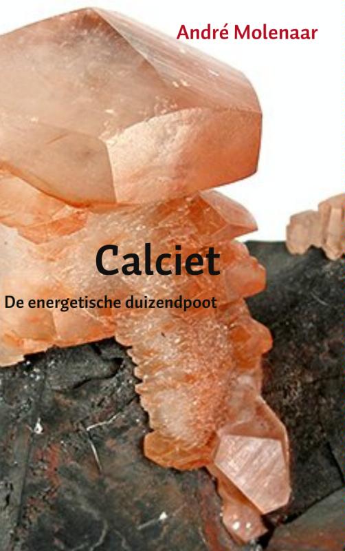 Omslag van Calciet
