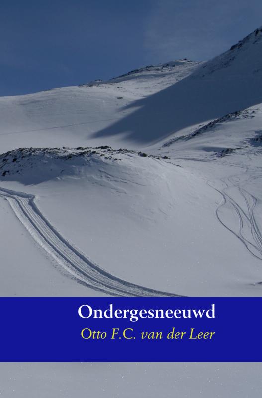 Omslag van Ondergesneeuwd
