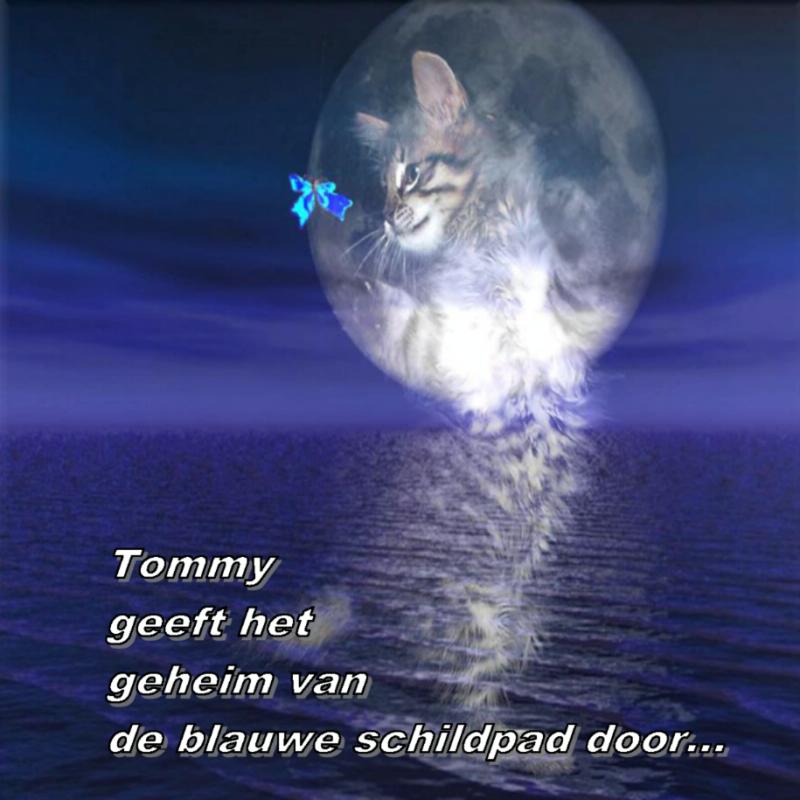 Omslag van Tommy geeft het geheim van de blauwe schildpad door ...