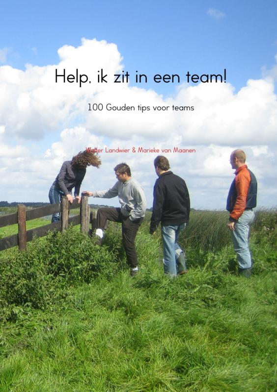 Omslag van Help, ik zit in een team!
