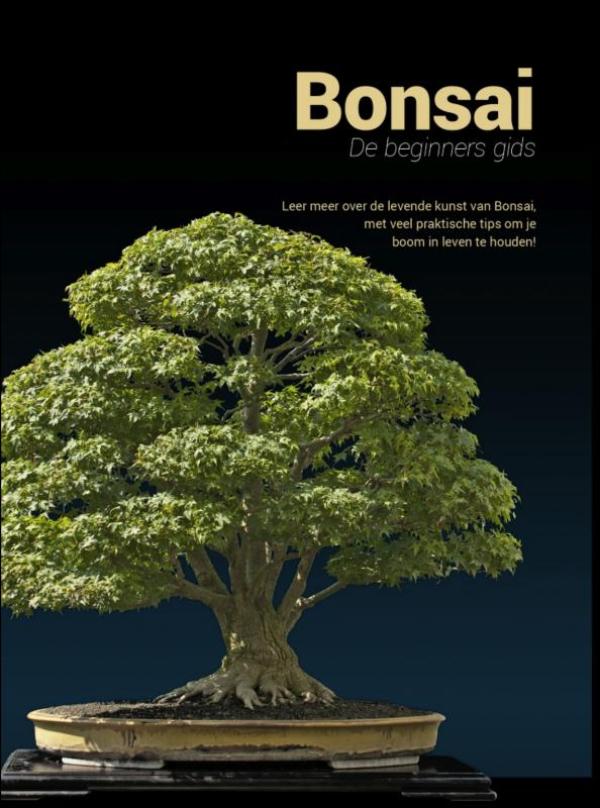 Omslag van Bonsai