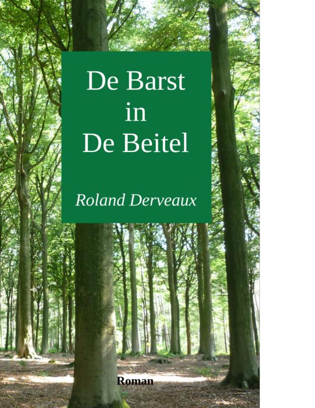 Omslag van De barst in de beitel