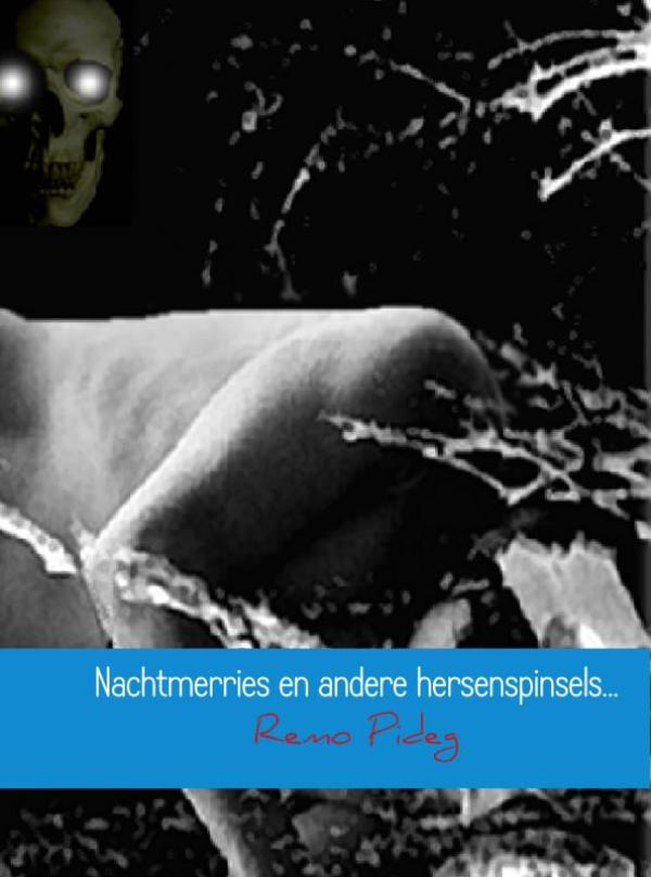 Omslag van Nachtmerries en andere hersenspinsels...