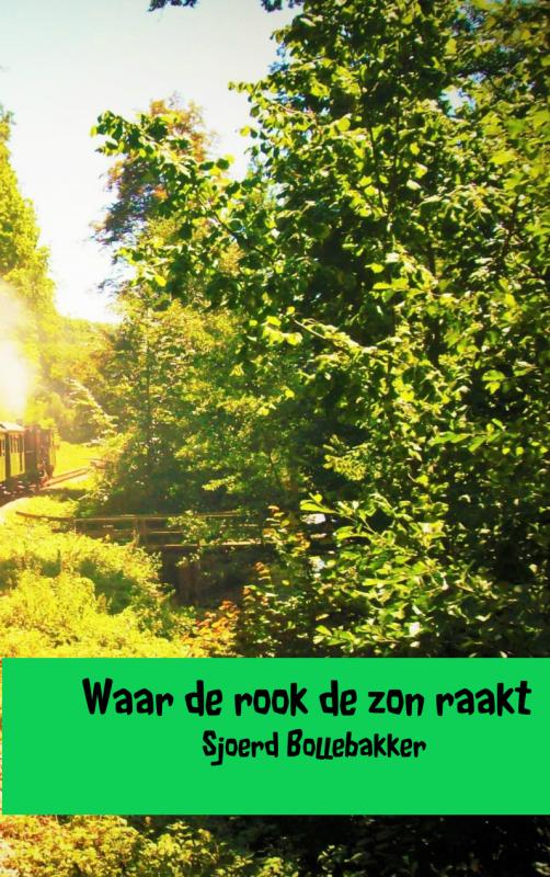 Omslag van Waar de rook de zon raakt