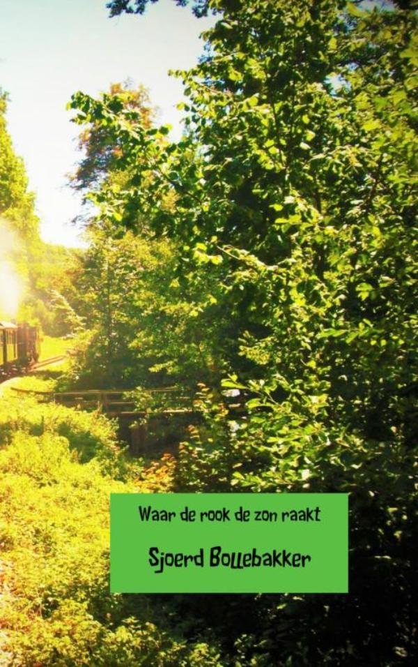Omslag van Waar de rook de zon raakt