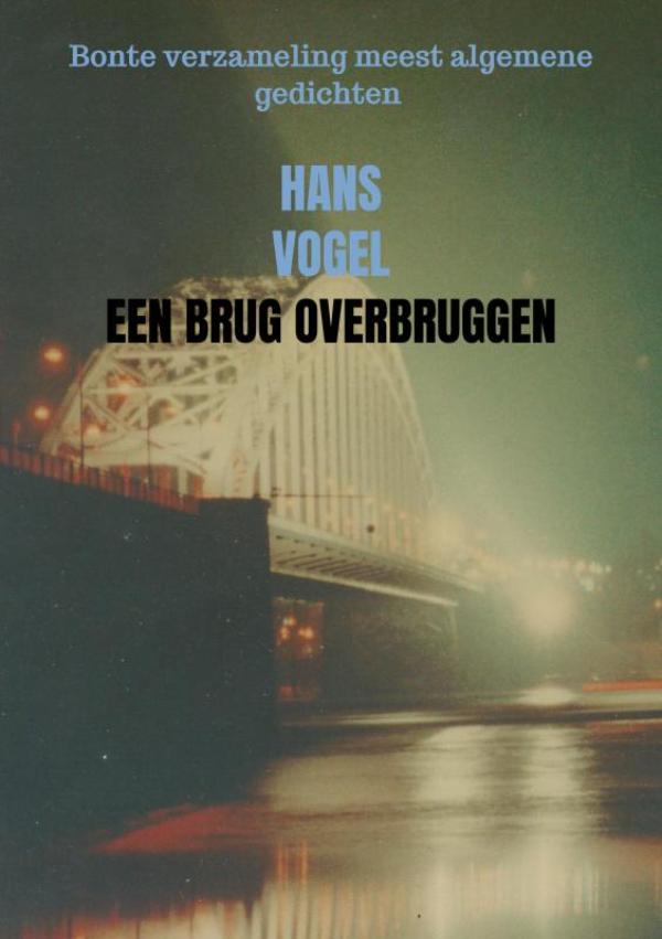 Omslag van Een brug overbruggen