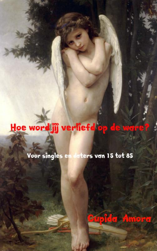 Omslag van Hoe word jij verliefd op de ware?