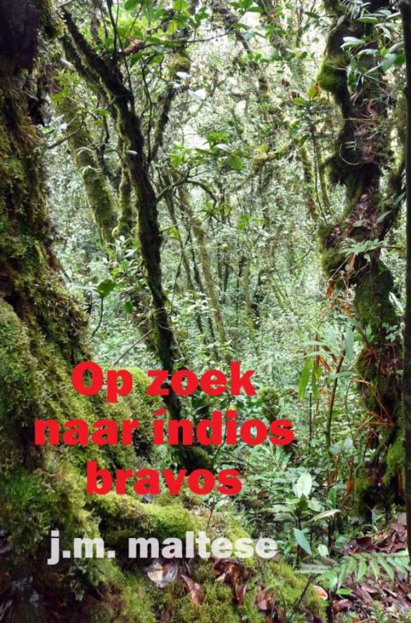 Omslag van Op zoek naar indios bravos