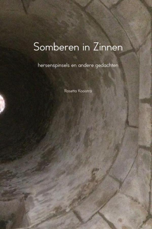 Omslag van Somberen in Zinnen
