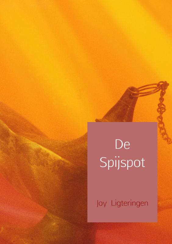 Omslag van De spijspot